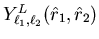 $Y^L_{\ell_1,\ell_2}(\hat{r}_1,\hat{r}_2)$